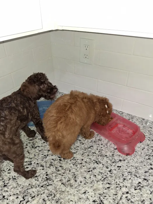 Banfield Pet Hospital Picture 9