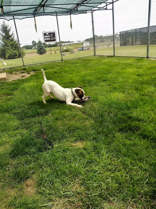 Arcanum Veterinary Service Picture 10