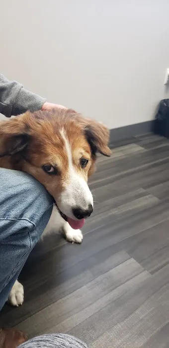 Lynn Veterinary Hospital Picture 3