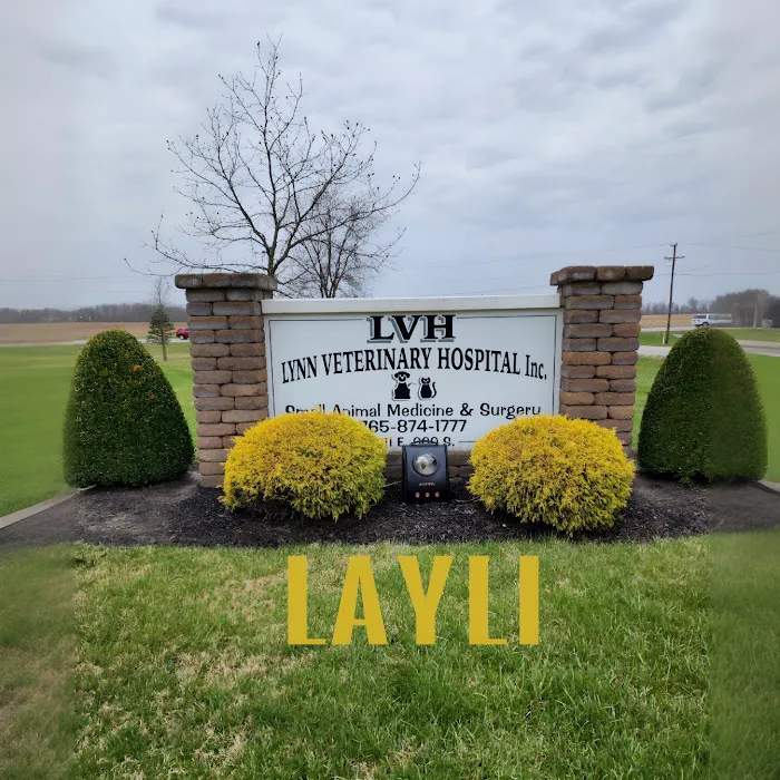 Lynn Veterinary Hospital Picture 10