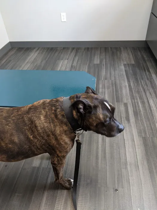 Lynn Veterinary Hospital Picture 1