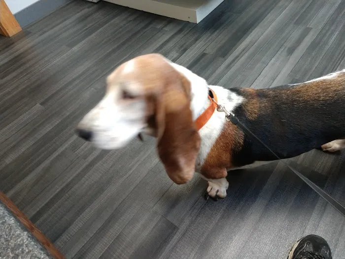 Lynn Veterinary Hospital Picture 7