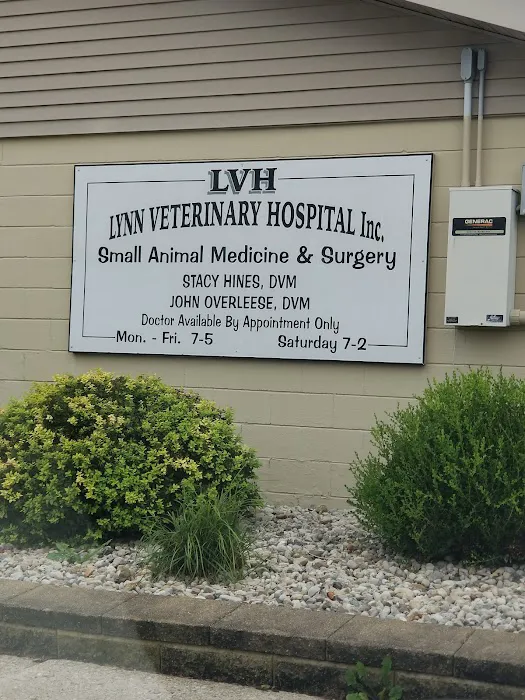 Lynn Veterinary Hospital Picture 5