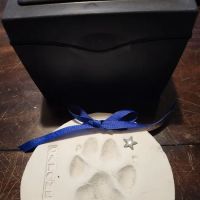 Winchester Veterinary Clinic ico
