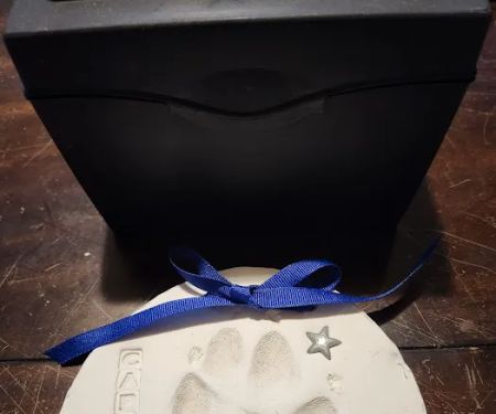 Winchester Veterinary Clinic