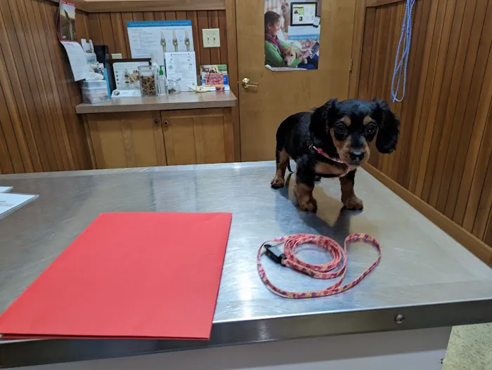 Logue's TLC Pet Hospital, LLC Picture 8