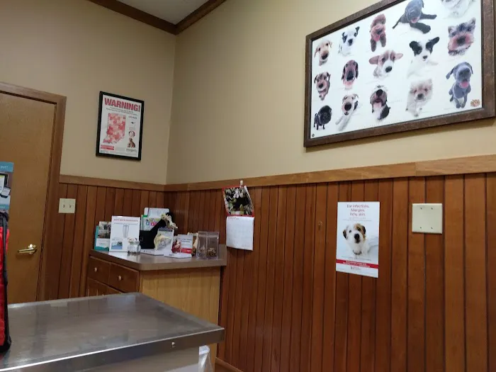 Logue's TLC Pet Hospital, LLC Picture 3