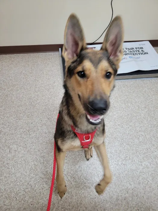 Animal Hospital of Richmond Picture 3