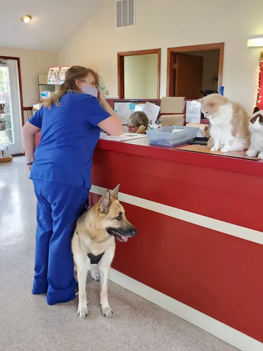 Animal Hospital of Richmond Picture 8