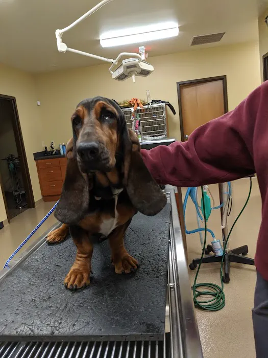 Grove Veterinary Clinic Picture 5