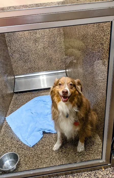 Grove Veterinary Clinic Picture 4