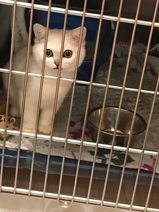 Animal Care Clinic Picture 8
