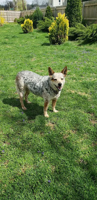 Animal Care Clinic Picture 6