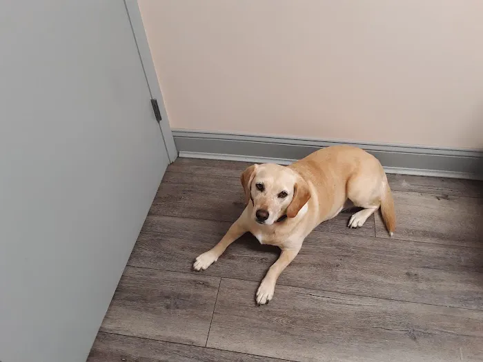 Harrison Animal Hospital Picture 1