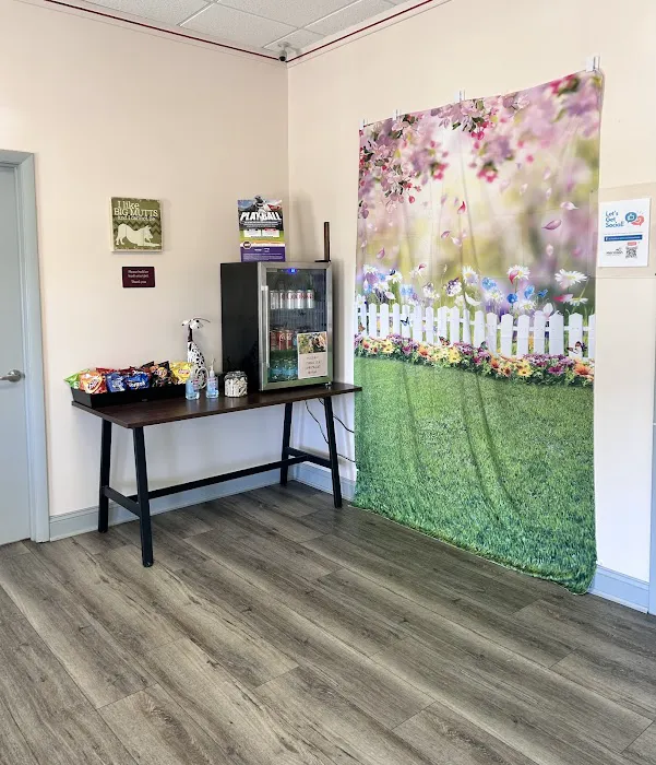 Harrison Animal Hospital Picture 9