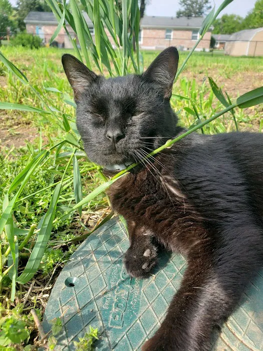 Miamitown Pet Hospital Picture 2