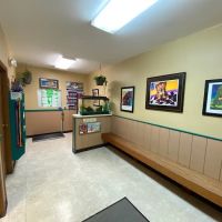 Miamitown Pet Hospital ico