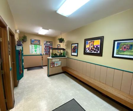 Miamitown Pet Hospital