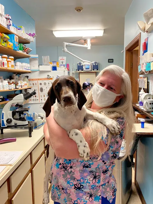Miamitown Pet Hospital Picture 6