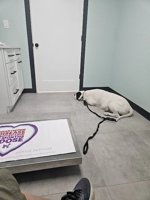 La Vernia Veterinary Hospital Picture 3