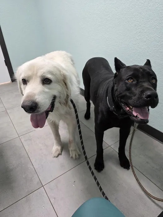 La Vernia Veterinary Hospital Picture 4