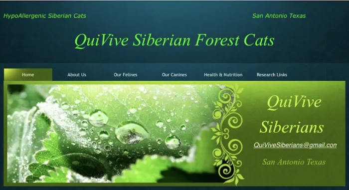 QuiVive Siberians Picture 7