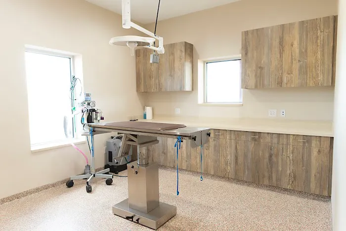Wyatt Veterinary Services Picture 3