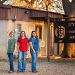 Wyatt Veterinary Services