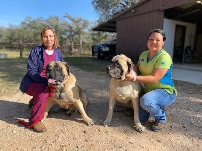 Wyatt Veterinary Services Picture 2