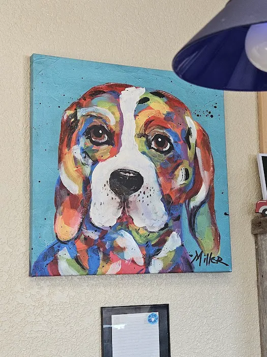 Oak Hills Animal Hospital Picture 6