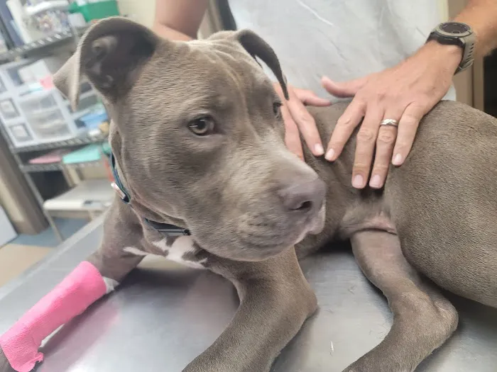 Oak Hills Animal Hospital Picture 9