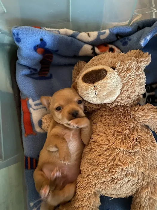 Oak Hills Animal Hospital Picture 8