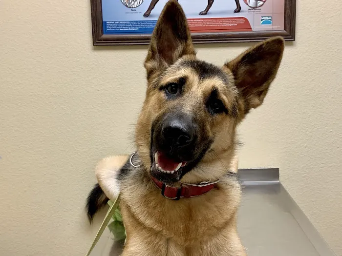 Oak Hills Animal Hospital Picture 1