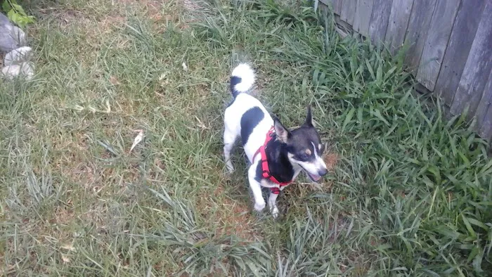 Banfield Pet Hospital Picture 7