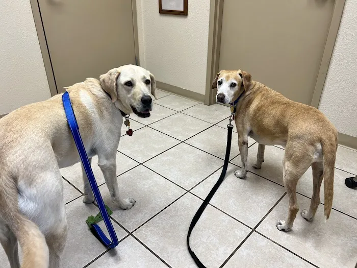 Spring Creek Animal Hospital Picture 9