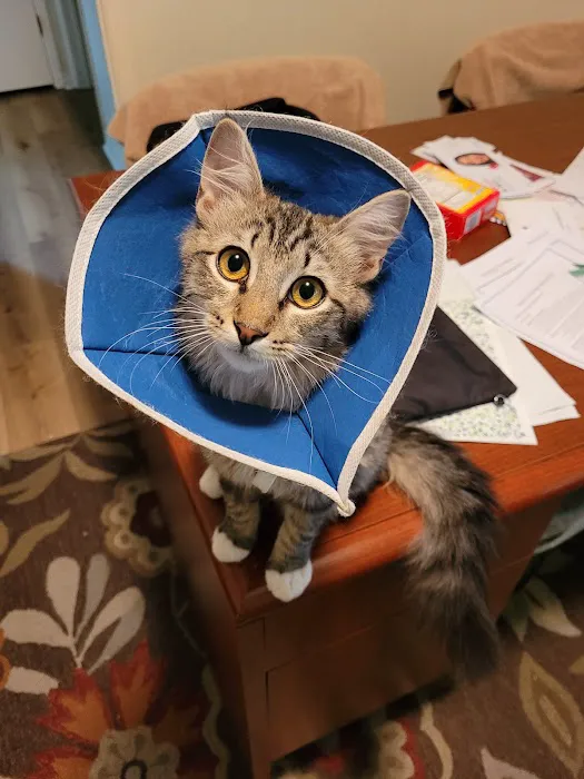 Spring Creek Animal Hospital Picture 1