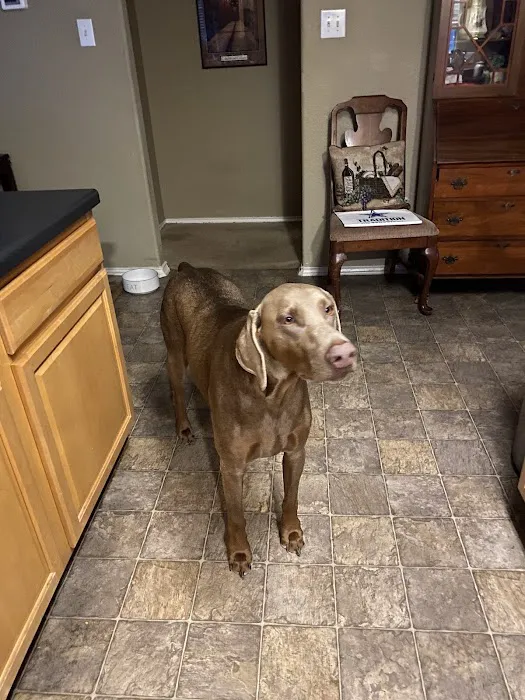 Spring Creek Animal Hospital Picture 4