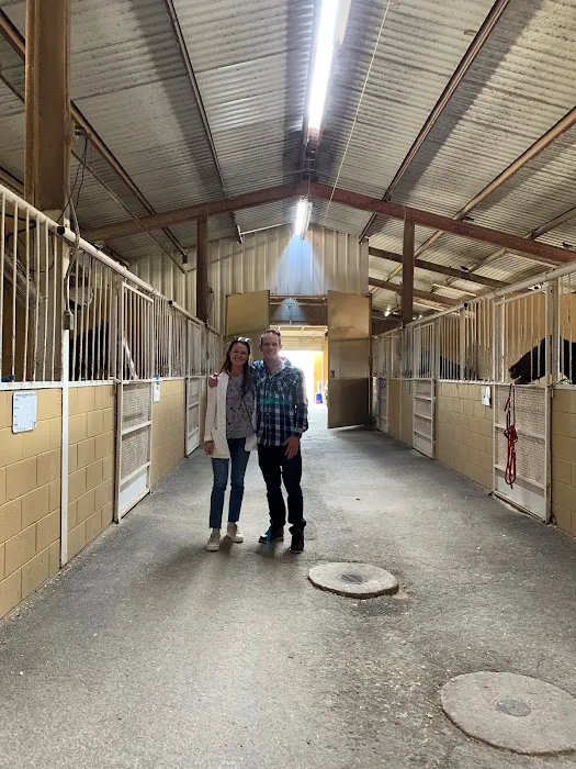 San Antonio Equine Hospital Picture 6