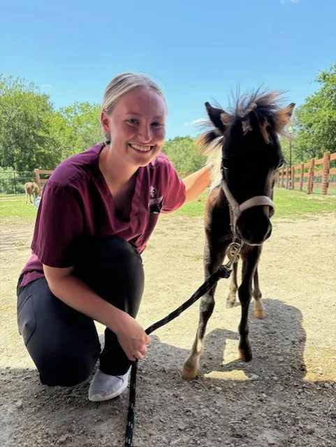 San Antonio Equine Hospital Picture 5