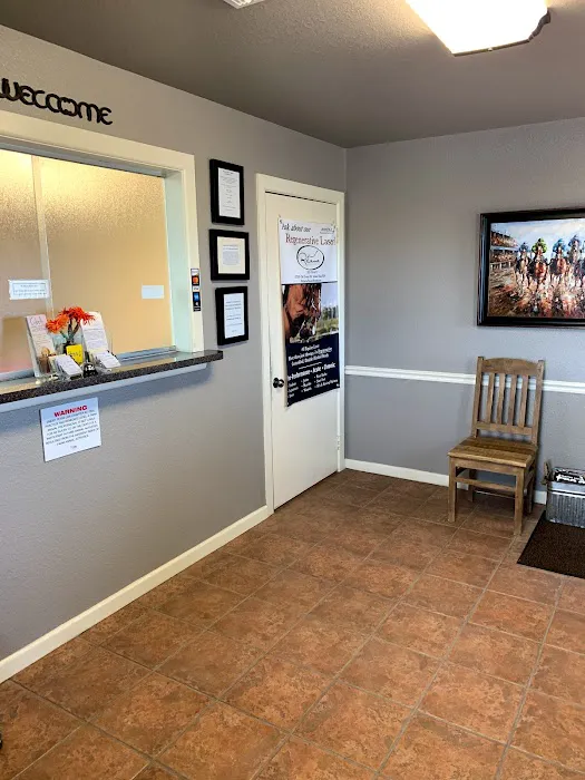 San Antonio Equine Hospital Picture 3