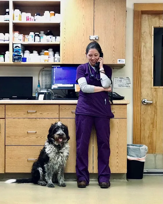 Schertz Animal Hospital Picture 7