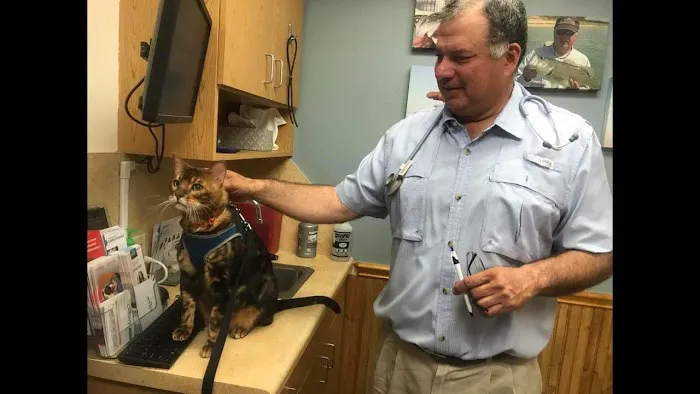 Schertz Animal Hospital Picture 3