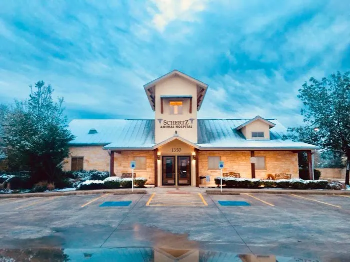Schertz Animal Hospital Picture 6