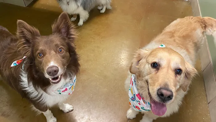Friendship Pet Hospital Picture 8