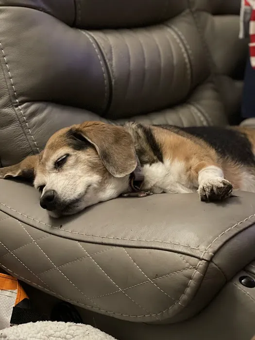 Friendship Pet Hospital Picture 4