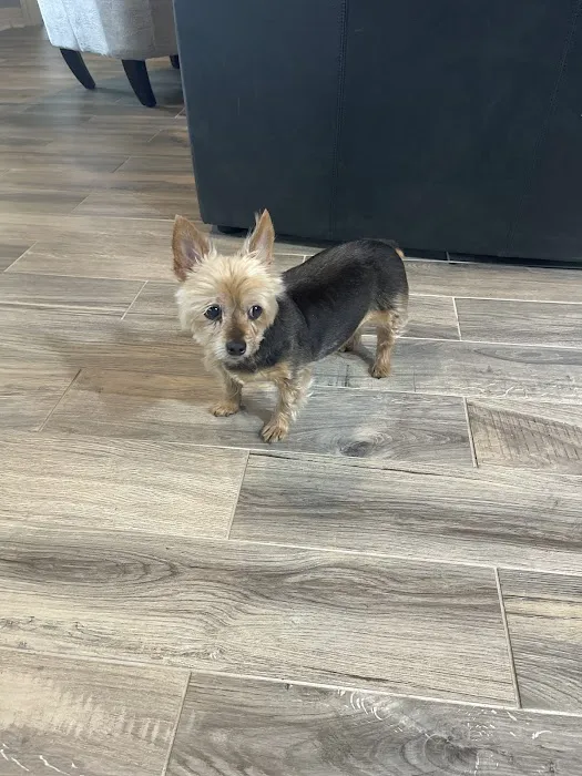 Friendship Pet Hospital Picture 5