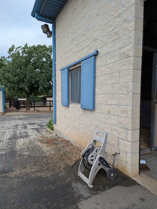 Brazos Valley Equine Hospitals - San Antonio Picture 2