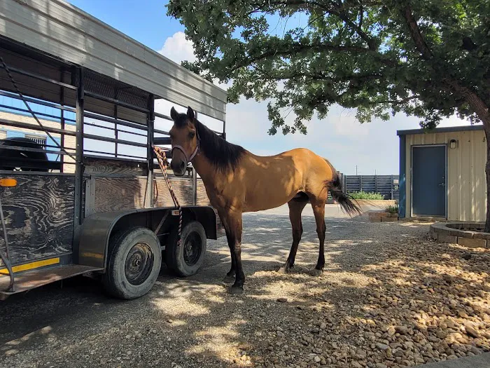 Brazos Valley Equine Hospitals - San Antonio Picture 6
