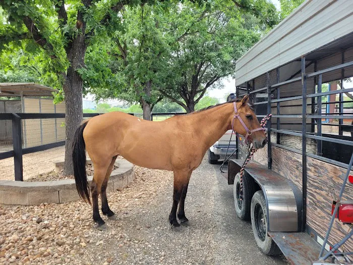 Brazos Valley Equine Hospitals - San Antonio Picture 8