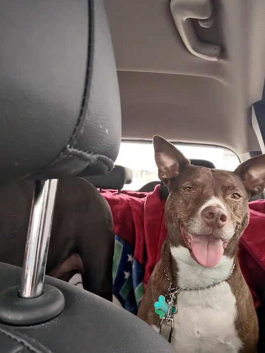CityVet | Cibolo Crossing Picture 10